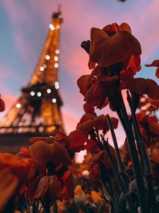 Eiffel Tower at sunset with flowers.